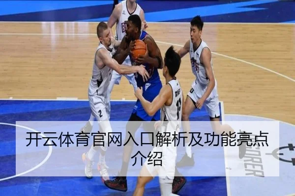 开云体育官网入口解析及功能亮点介绍